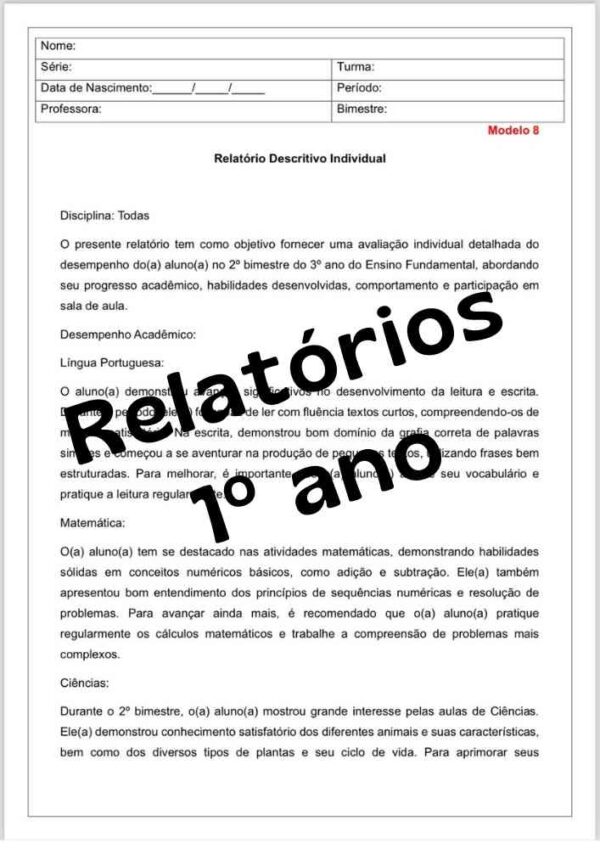 Relatório de desenvolvimento do aluno primeiro 1º ano Ensino fundamental segundo bimestre Word