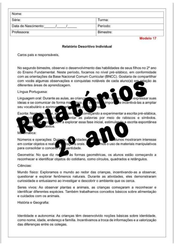 Relatório do aluno do segundo ano do ensino fundamental editava o Word para acompanhar o desenvolvimento individual e de turma modelo 5