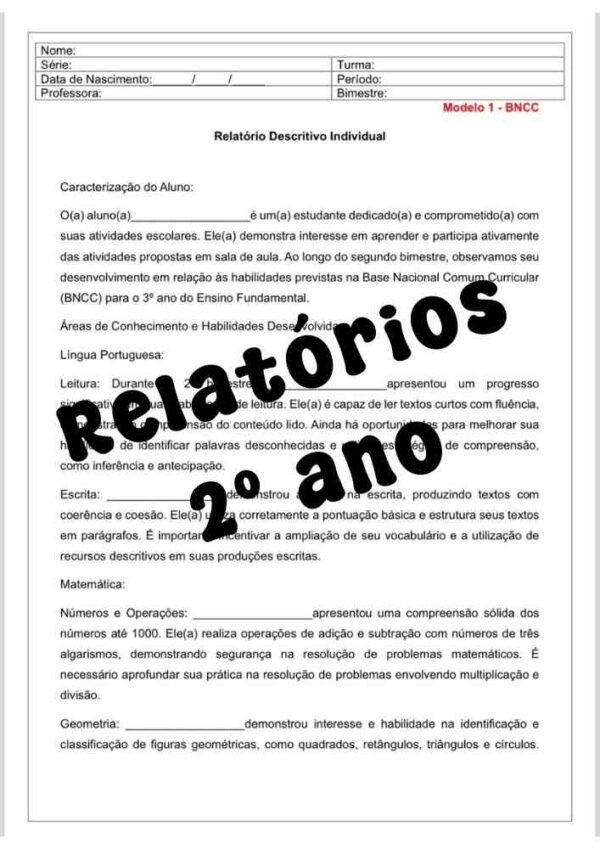 Relatório de desenvolvimento do aluno do segundo ano do ensino fundamental Editava no Word modelo 2