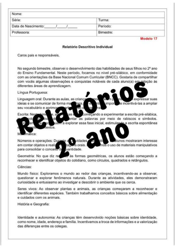 Relatório desenvolvimento descritivo 2º ano - (3º bimestre)