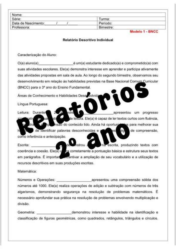 Relatório desenvolvimento descritivo 2º ano - (3º bimestre)