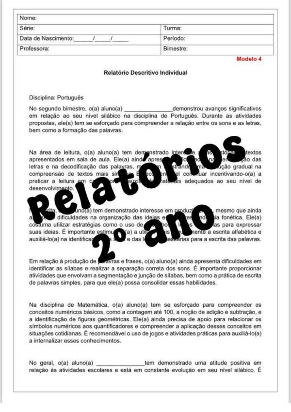 Relatório desenvolvimento descritivo 2º ano - (3º bimestre)