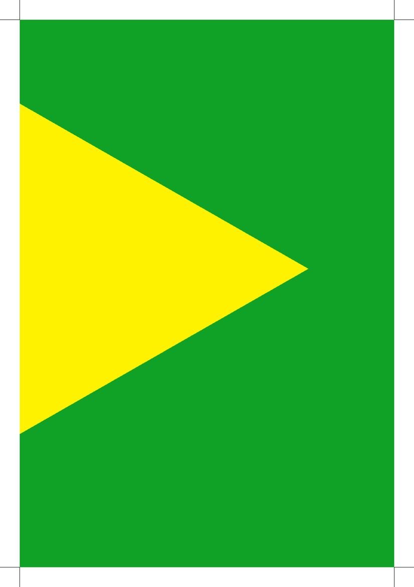 Bandeira do Brasil Tamanho grande para imprimir